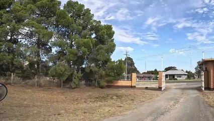 Legends on the Silos 🚗 Woomelang to Lascelles Road Trip 🎨🌾