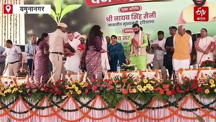 पेड़ों की अवैध कटाई पर सख्त CM सैनी, यमुनानगर वन महोत्सव में बोले- "जल्द लेंगे सख्त एक्शन"