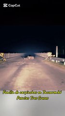 Familia de carpinchos en Puente Tres Cauces - Tacuarembó