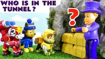 Can you Guess which Paw Patrol Pup is trapped in the Tunnel?