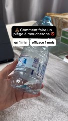 Comment faire un piège à moucherons en 1 minute, efficace 1 mois