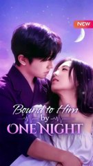 bound to him by one night, My Accidental Sugar Baby