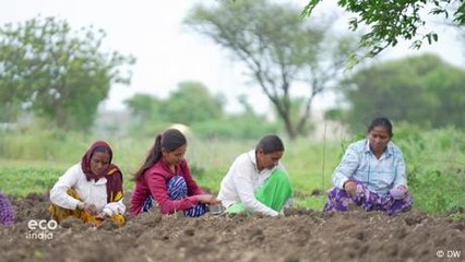 Maharashtra women farmers navigating drought and inequality