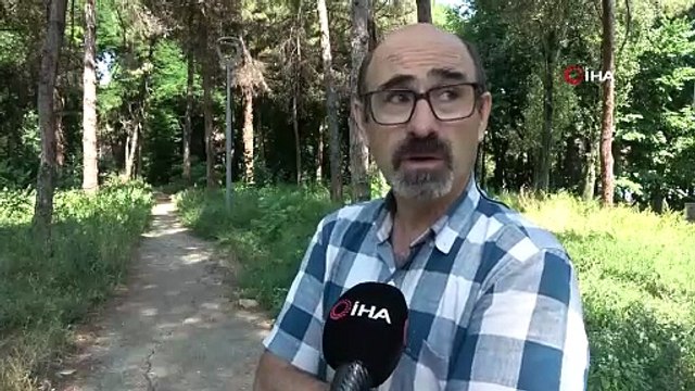 ''İmar Barışı''nı fırsat bilip Türkiye'nin zirvesindeki yemyeşil cenneti işgal ettiler!