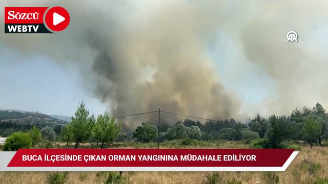 Buca ilçesinde çıkan orman yangınına müdahale ediliyor