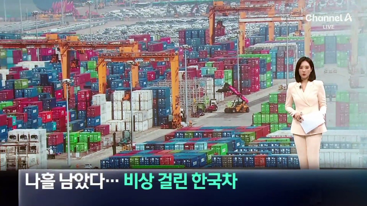 상호관세 부과 나흘 남았다…비상 걸린 한국차