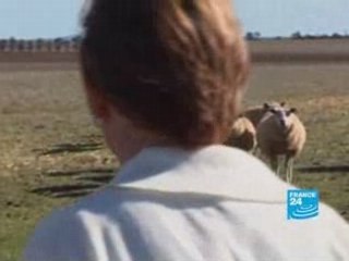 Australia: Genetically modified profits
