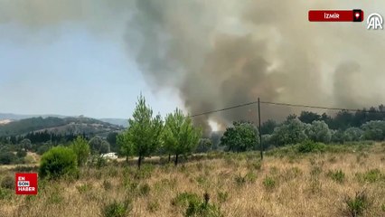 İzmir'in Buca ilçesinde çıkan orman yangınına havadan ve karadan müdahale edildi