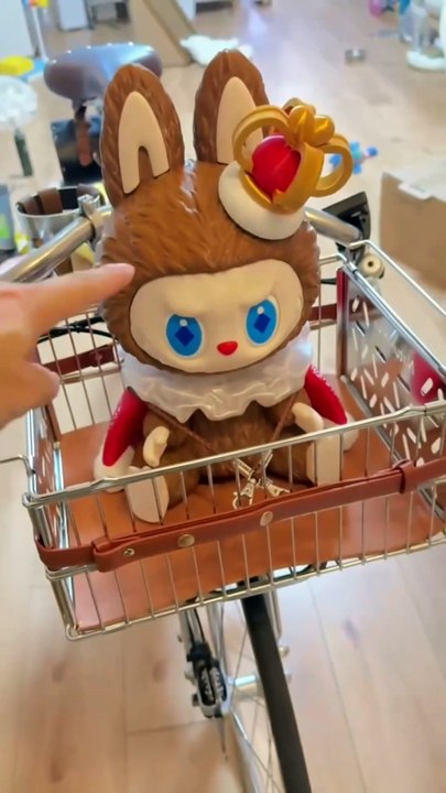 It’s so dazzling to bring the puppy to celebrate the birthday!