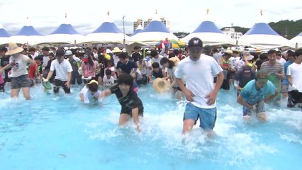 [경북] 경북, 봉화은어축제 등 휴가철 맞아 여름 축제 '풍성' / YTN