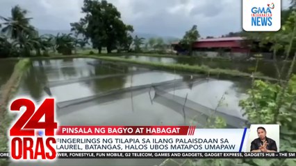 Fingerlings ng tilapia sa ilang palaisdaan sa Laurel, Batangas, halos ubos matapos umapaw kasunod ng mga bagyo at Habagat | 24 Oras