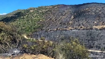 Villasimius, ecco la devastazione causata dal fuoco a Punta Molentis