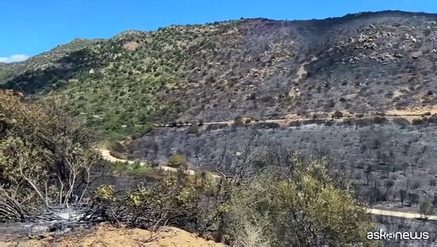 Villasimius, ecco la devastazione causata dal fuoco a Punta Molentis