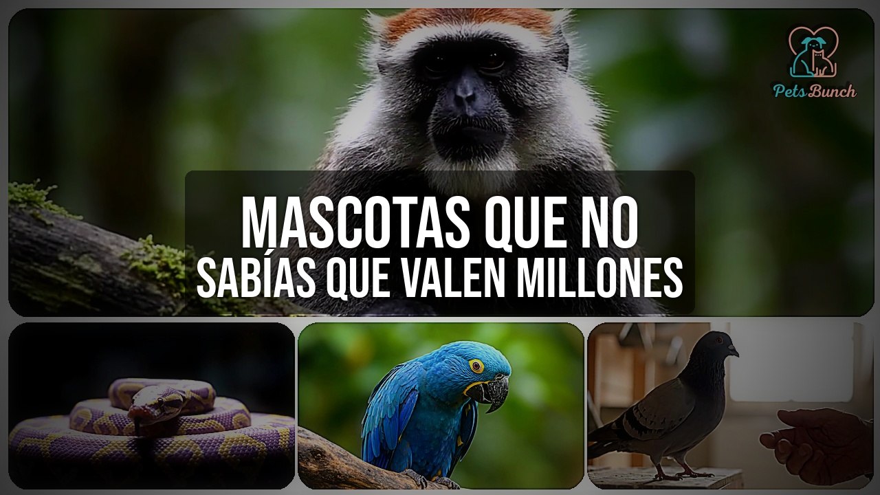 Mascotas Que No Sabías Que Valen Millones | Animales Exóticos Millonarios