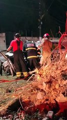 Madrugada de terror: carro arranca árvore e deixa duas mulheres feridas