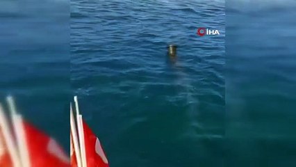 Gazipaşa Selinus Sahili kıyısında 500 metrelik boru bulundu