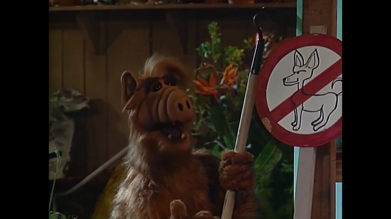 ALF Staffel 1 Folge 18 'Der Ausreißer' Deutsch HD
