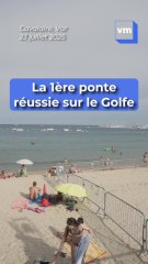 Cavalaire : Comment préserver la ponte d'une tortue marine sur la plage ? On vous explique