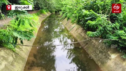 അഴകിന്‍റെ റാണിയാകാൻ കുട്ടിവനം; വികസന പദ്ധതിയുമായി വനംവകുപ്പ്