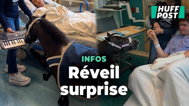 Ce mini-cheval qui joue du piano dans une chambre d’hôpital est tout sauf une blague