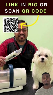 Grooming My Dog at Home with the oneisall 7-in-1 Powerful Dog Grooming Vacuum Kit – Full Review + Demo