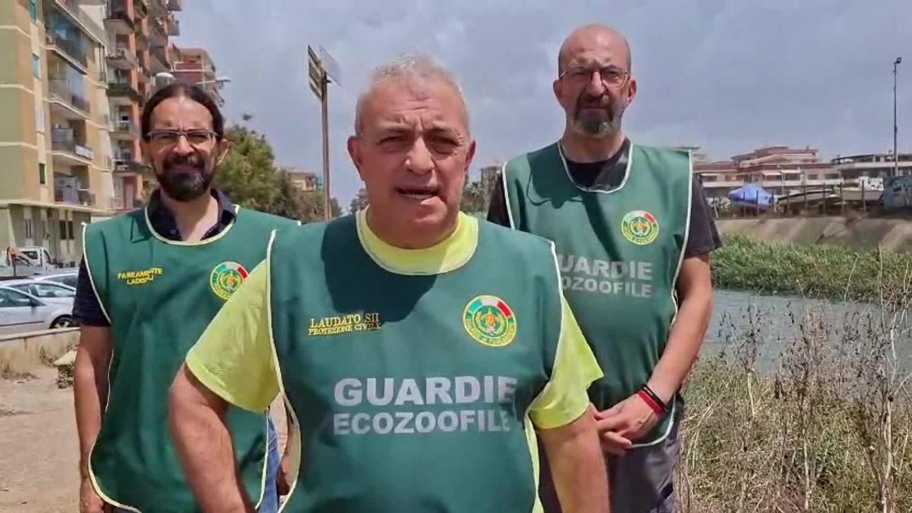 Le guardie zoofile sul coccodrillo a Ladispoli: «Non abbiamo trovato nulla»