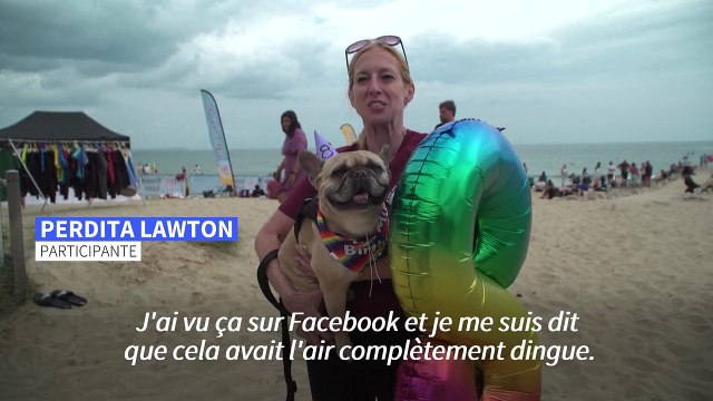 Royaume-Uni: les chiens prennent la vague lors d'un championnat de surf canin