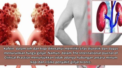 Apakah Teh Tidak Baik untuk Ginjal Simak Penjelasannya Menurut Penelitian  jangan sampai menyesal