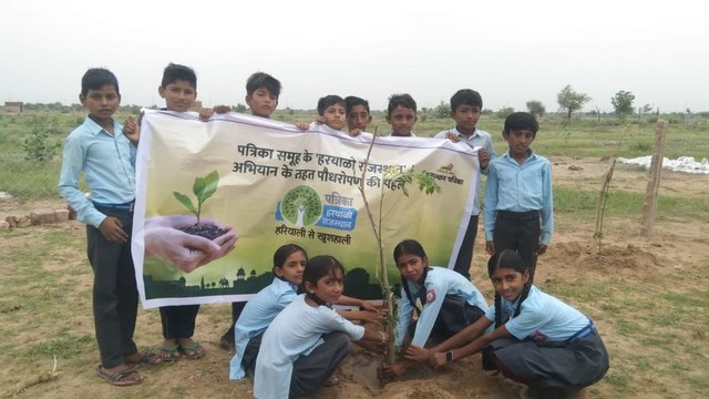 Video: हरयाळो राजस्थान अभियान - नन्हे विद्यार्थियों ने लगाए पौधे