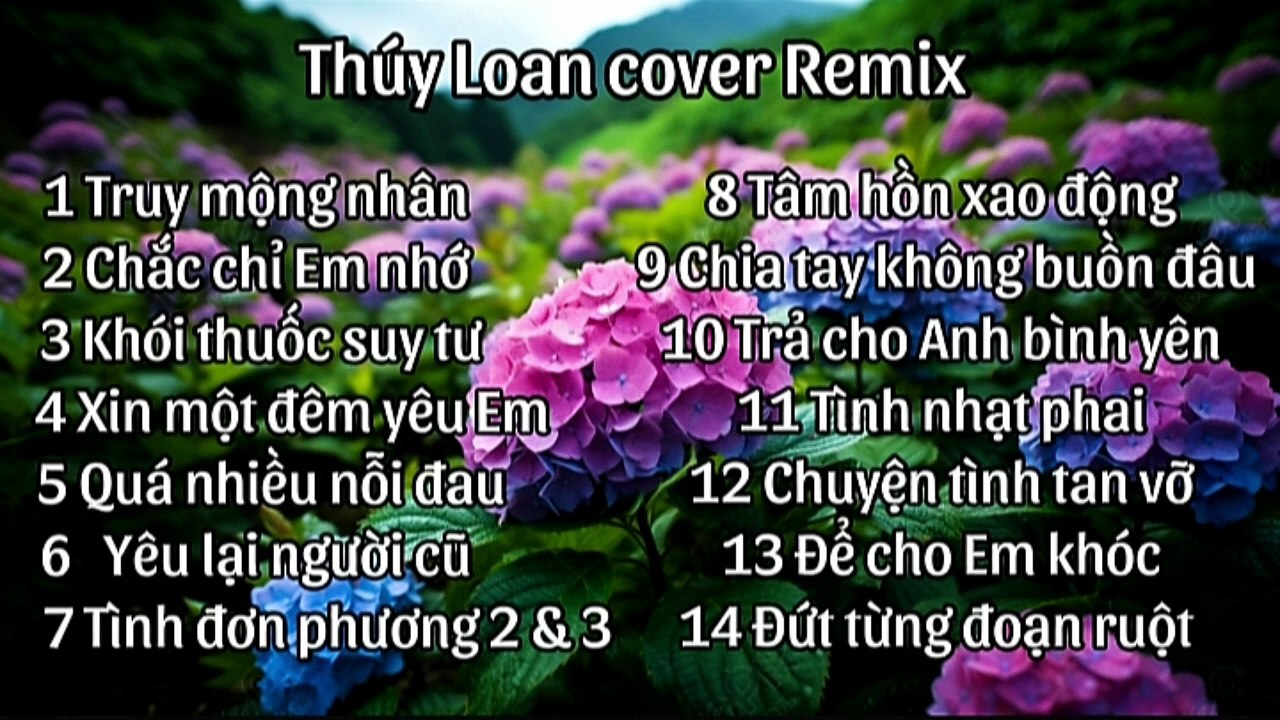 Thúy Loan cover Remix