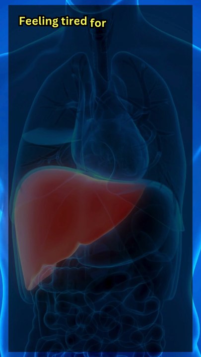 Liver Toxins Detox Guide – Cleanse Your Body Naturally