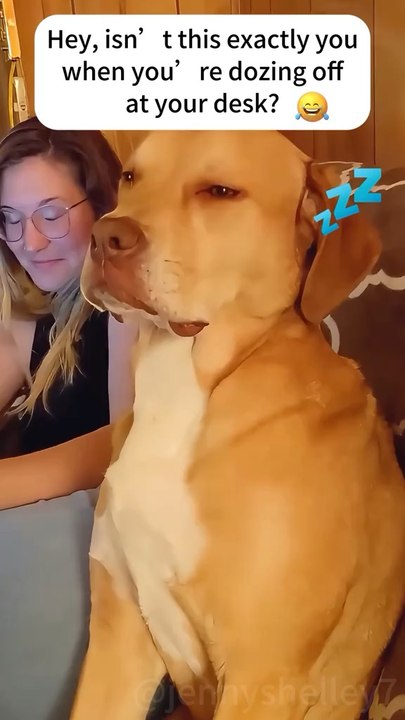 Sleepy Dogs🤣🐶