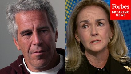 Madeleine Dean Directly Calls For Epstein Files To Be Released During CNN Roundtable Discussion