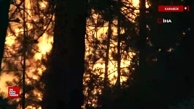 Karabük Aladağ'da orman yangını sürüyor