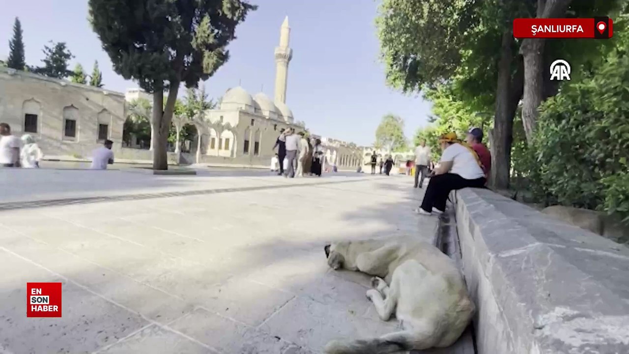Kilis ve Şanlıurfa’da sıcak hava hayatı olumsuz etkiliyor