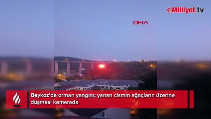 Beykoz’da orman yangını; yanan cismin ağaçların üzerine düşmesi kamerada