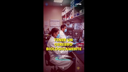 ¿Tu cerebro envejece más rápido que tú?