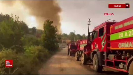 Bursa'da orman yangınları 3'üncü gününde