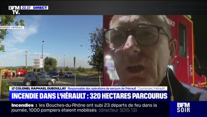 Incendie dans l'Hérault: après avoir parcouru 320 hectares, le feu est en passe d'être maîtrisé