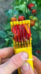 Best way to slice your tomatoes? 🍅