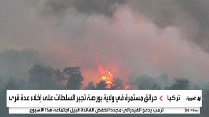 بسبب الطقس وأعمال تخريب.. 3 آلاف حريق في تركيا هذا الصيف