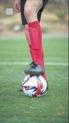 Mi Vecino El Capitan Completo en Español