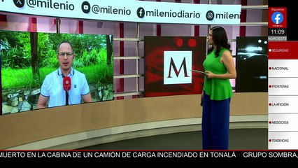 Fiscalía busca a abuelito ‘gringo’, rescatador de perros desaparecido en San Luis Potosí