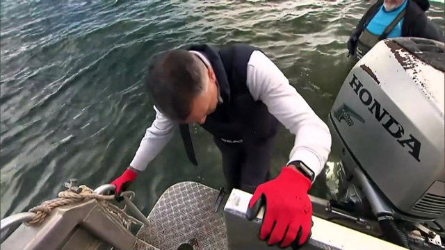 South Australia govt announces details about $28-million dollar support package for businesses affected by algal bloom