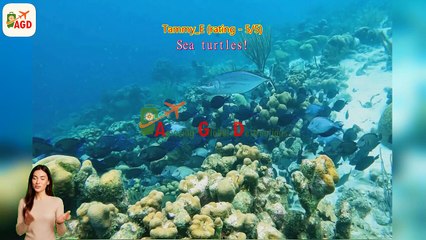 AGD Review Discover Scuba Diving Experience