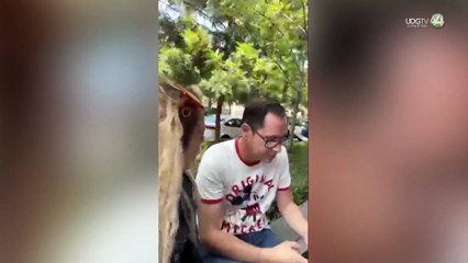 Por aviadores, socavones y "tarifazo", Carlos Lomelí exige que renuncie el director del SIAPA