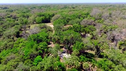 Movie Magic 2.0 Radar The Bionic Dog