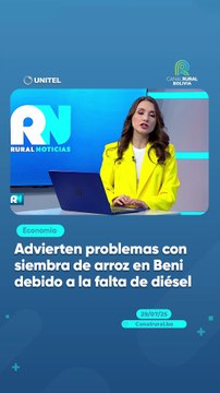 Advierten problemas con siembra de arroz en Beni debido a la falta de diésel