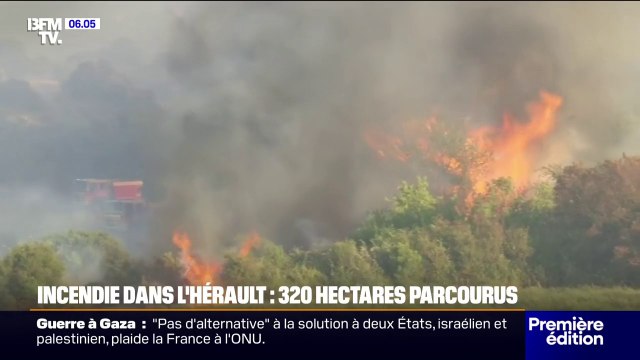 Un incendie dans l'Hérault a parcouru 320 hectares et mobilisé des centaines de pompiers