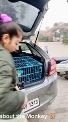 Awesome video So great work For rescue of Monkey Treatment She did Unforgettable job ❤🌹🙏🤲🙏🤲😳❤️‍❤